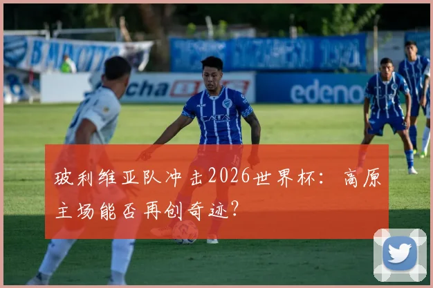 玻利维亚队冲击2026世界杯:高原主场能否再创奇迹?