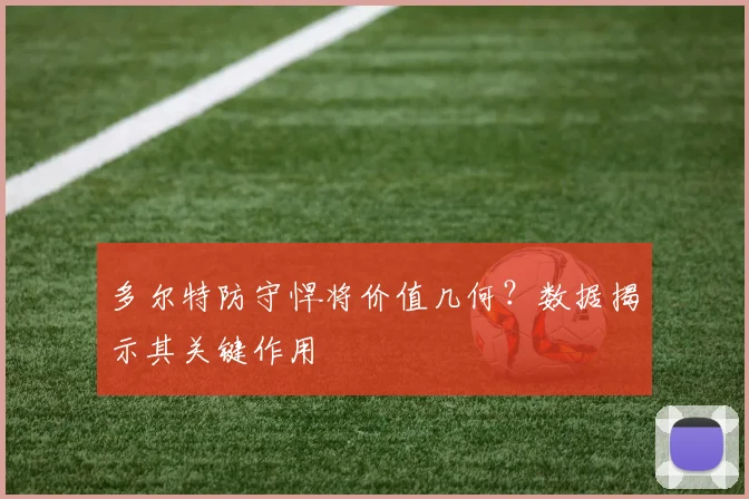 多尔特防守悍将价值几何？数据揭示其关键作用